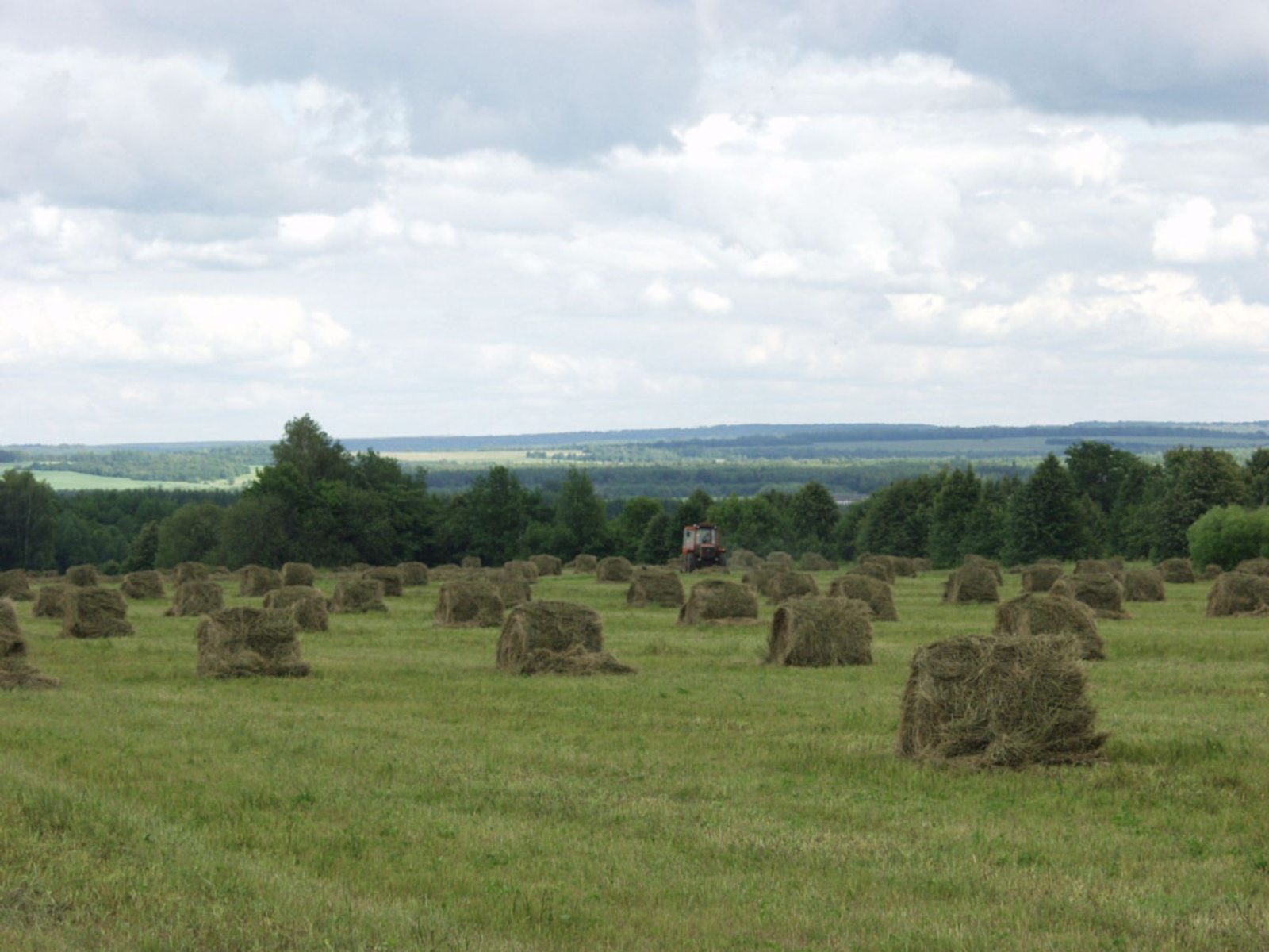 В Башкирии кормовые культуры скошены с 40 процентов площадей