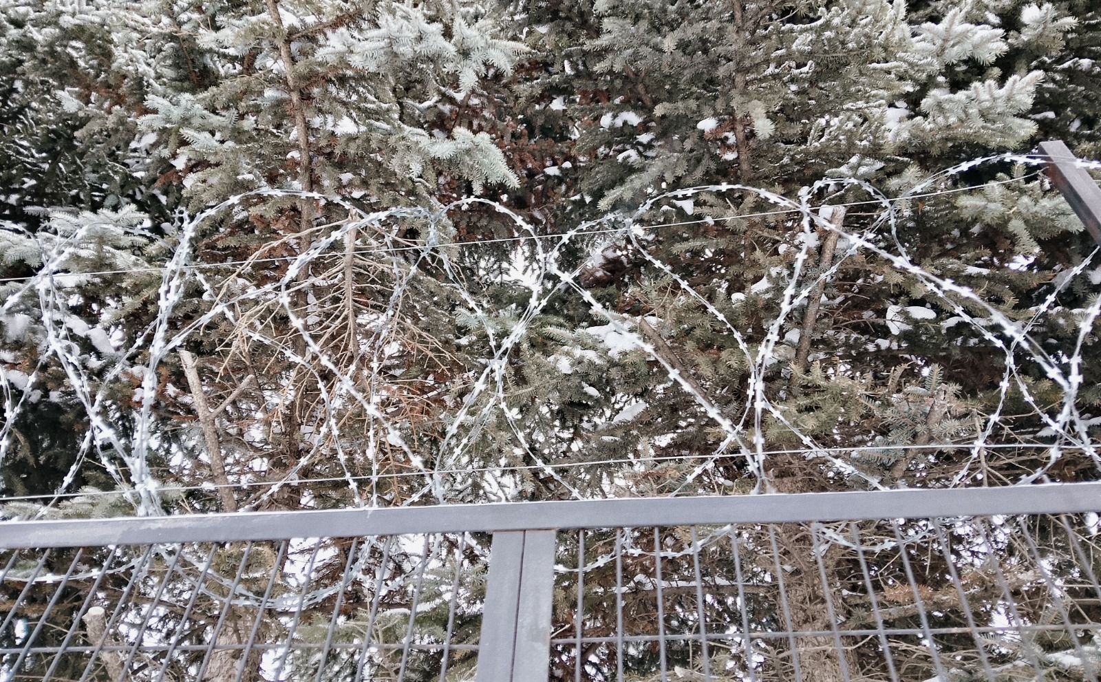 Вадим АНДРЕЕВ