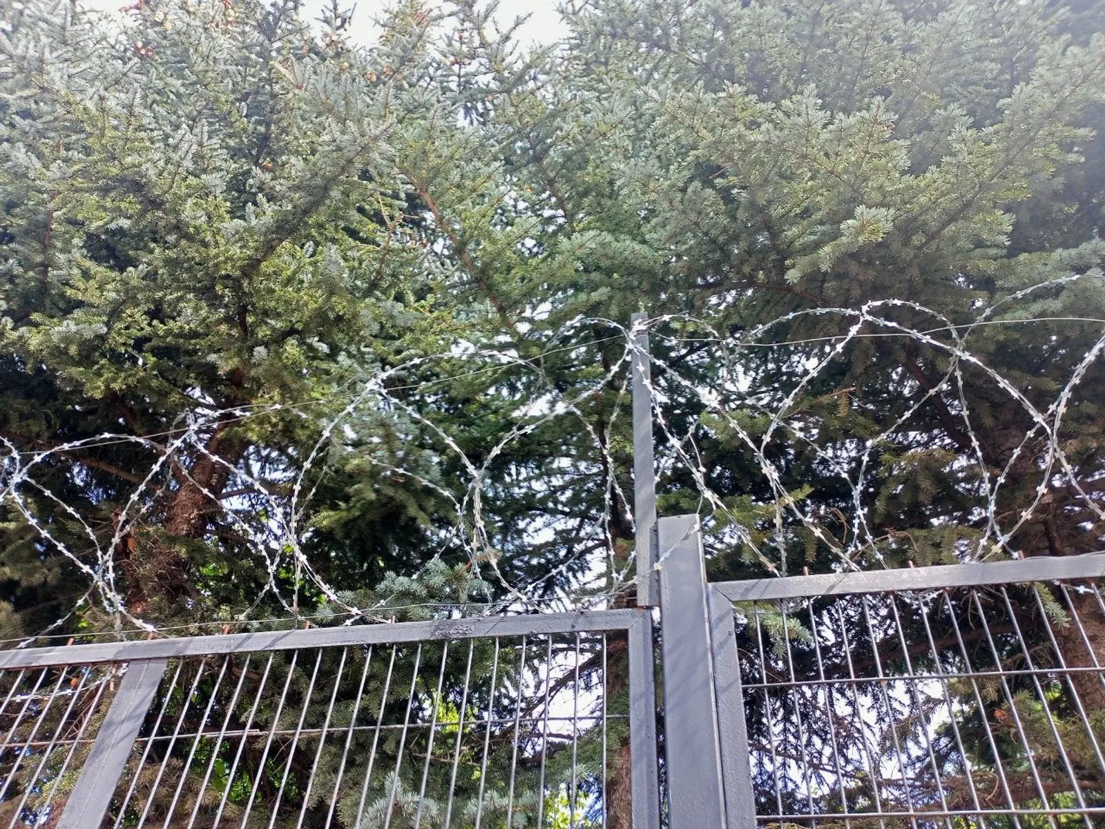 Вадим АНДРЕЕВ