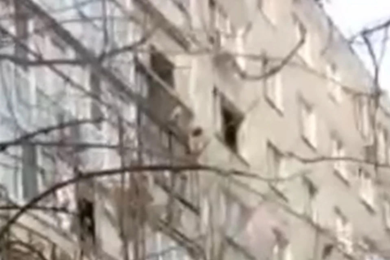 В Стерлитамаке сын выбросил 60-летнюю мать в окно с шестого этажа