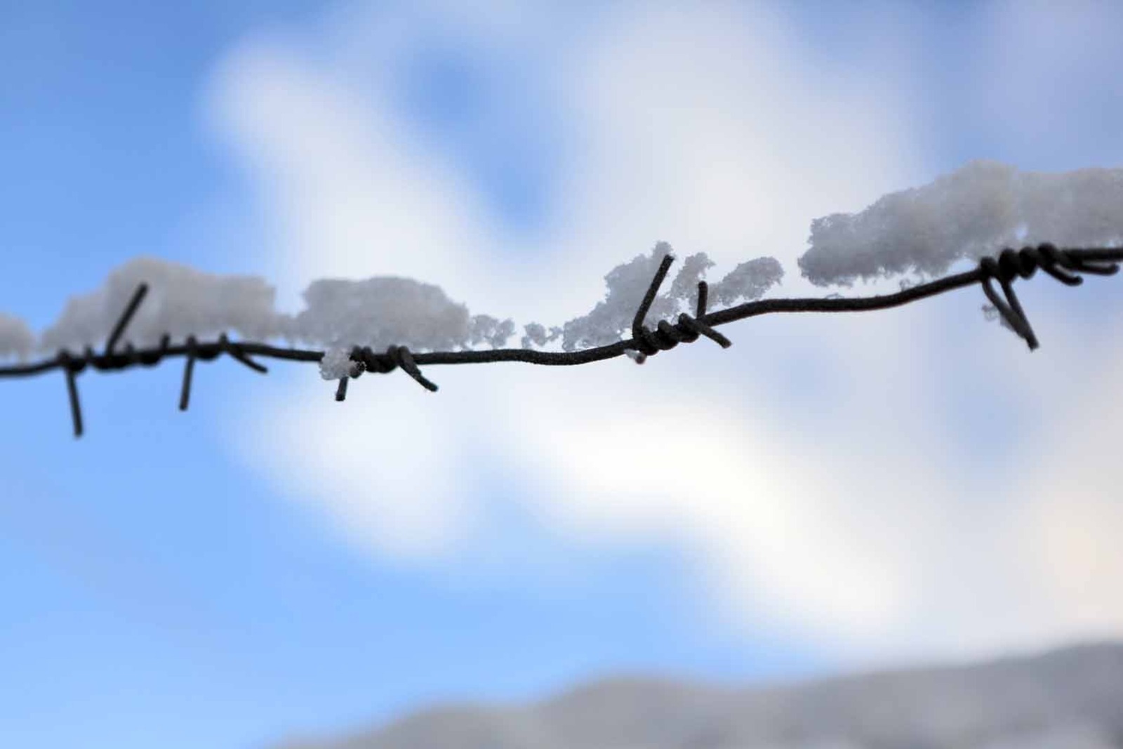 Александр ДАНИЛОВ