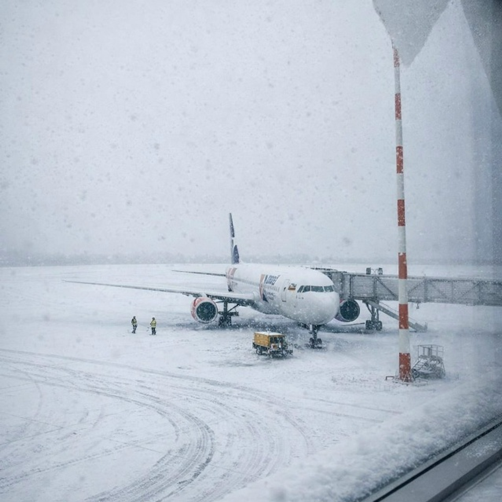 Главный врач санатория «Толпар» спас жизнь пассажиру самолёта Москва —Уфа