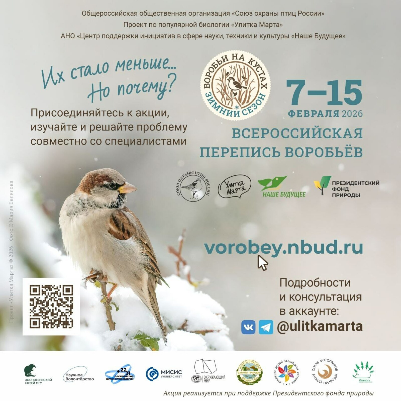 В Башкирии пересчитают воробьёв на кустах