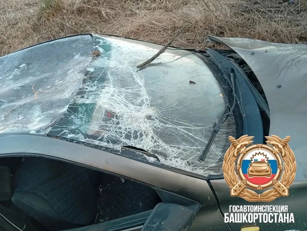 В Башкирии в ДТП погиб водитель «Гранты»