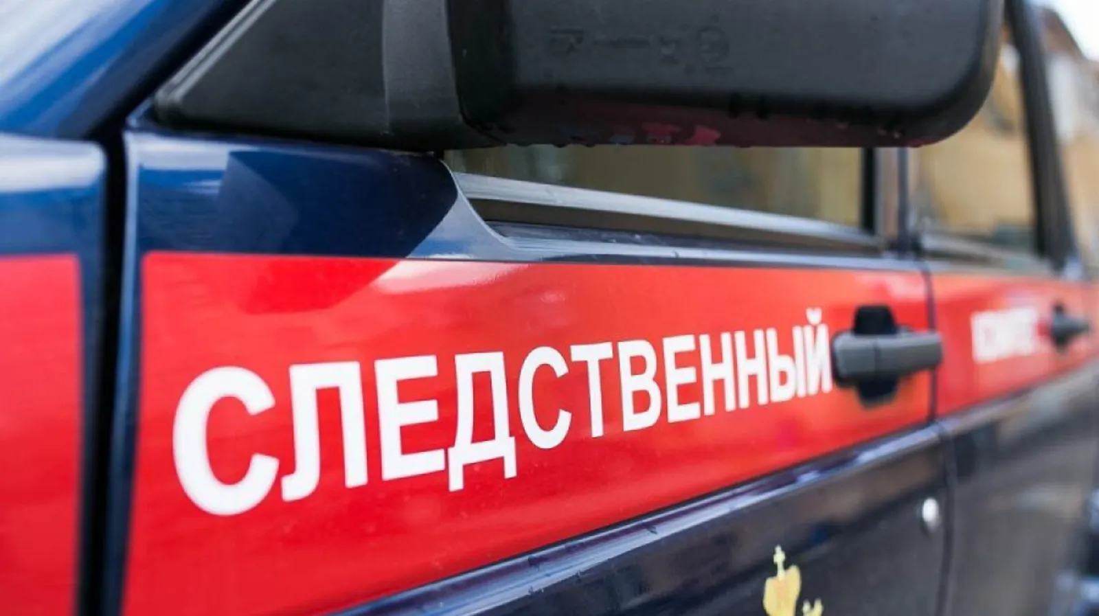 В Башкирии двадцатилетний парень зарезал бабушку и дедушку