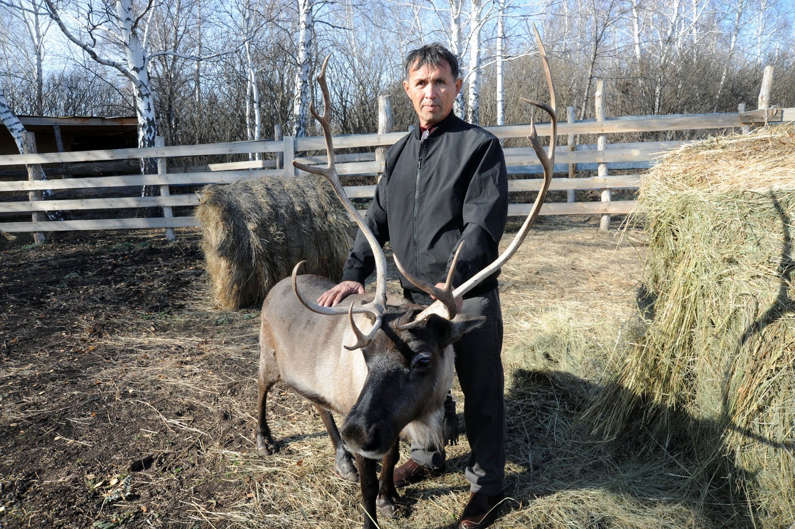 Ринат РАЗАПОВ  На экоферме Самерхана Искандарова живут настоящие северные олени.