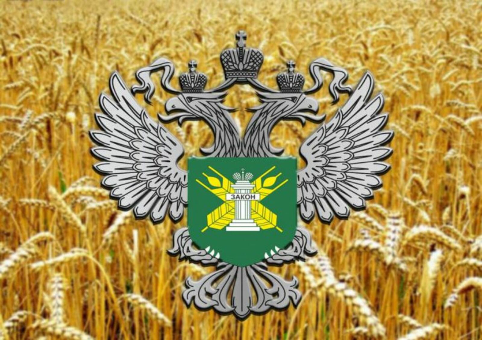 Аграрии Башкирии отгрузили продукцию полей в 16 регионов страны
