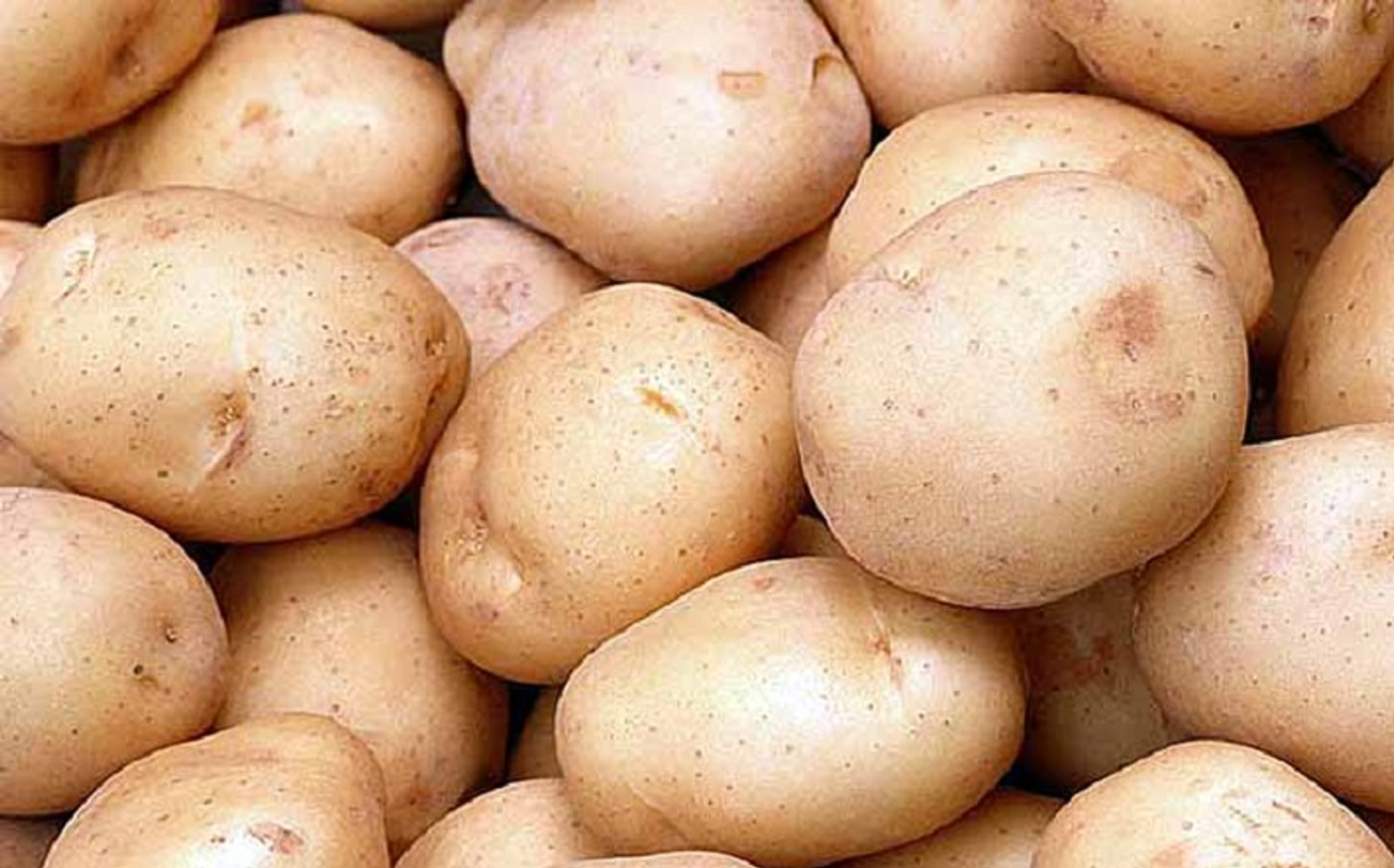 В Башкирии предложили выращивать картофель