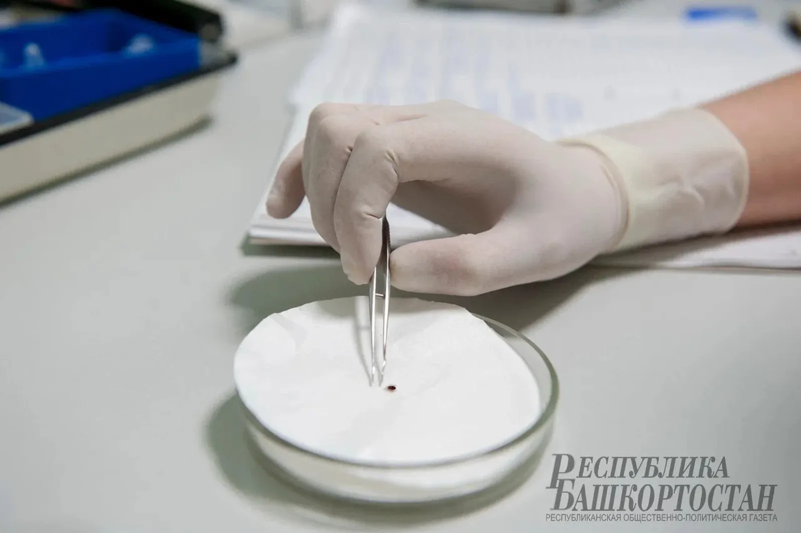 Альберт ЗАГИРОВ.