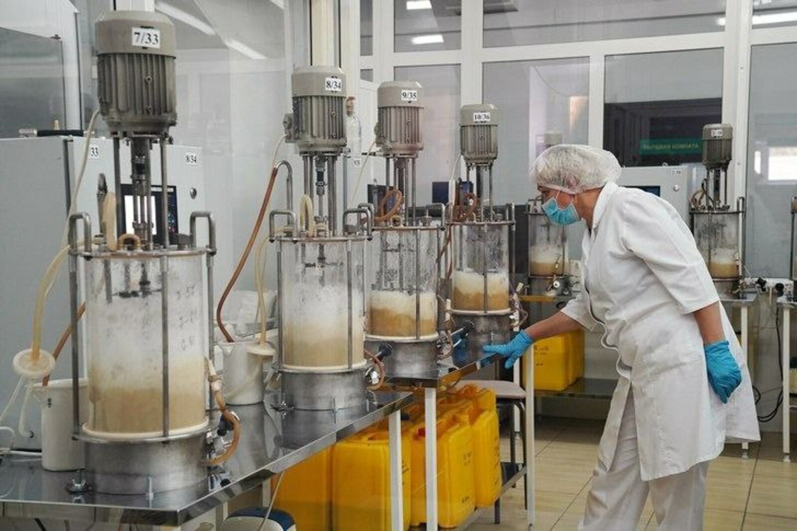 В Башкирии инвесторам предложили построить молочную биофабрику
