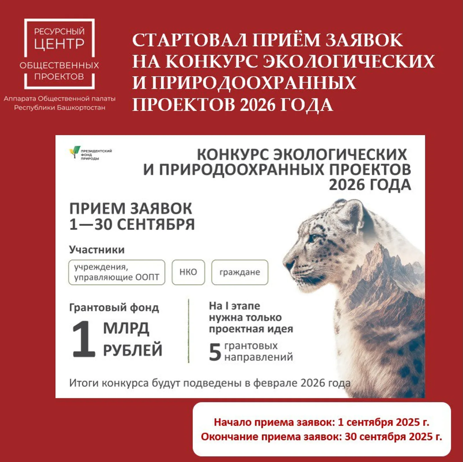 В Башкирии расскажут, как получить грант на спасение редких животных