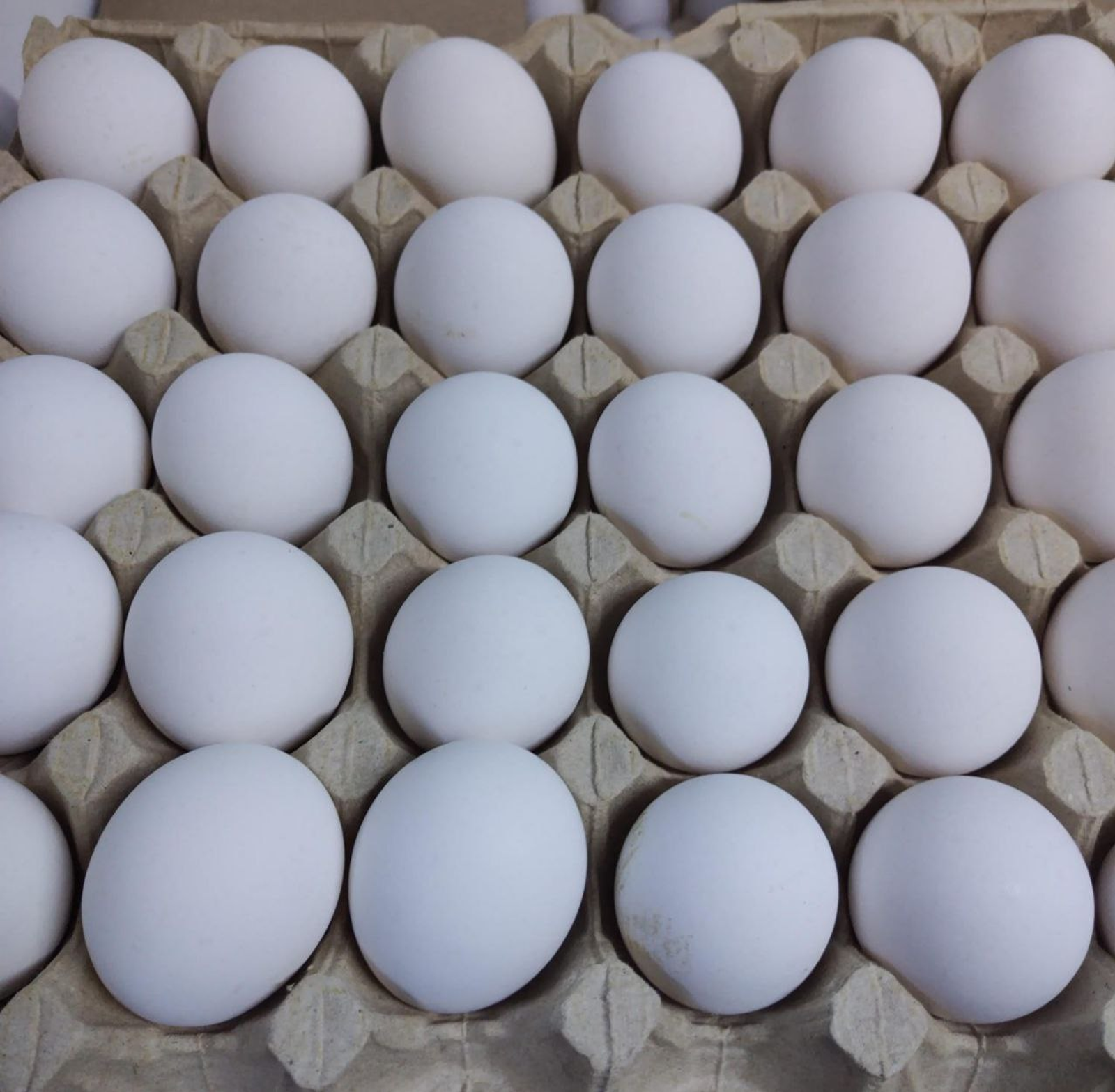 В магазинах Башкирии девять продуктов стали дешевле