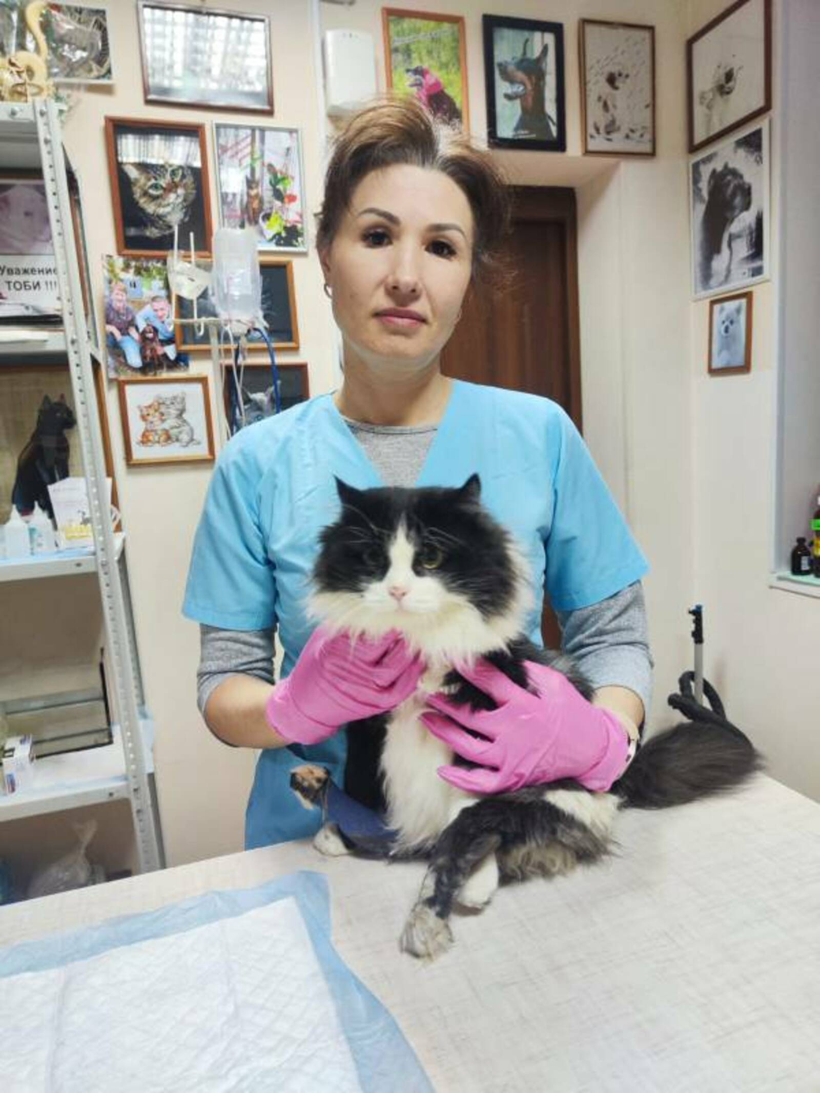 Игорь КАЛУГИН  Анетта не представляет жизнь без этих милых животных.