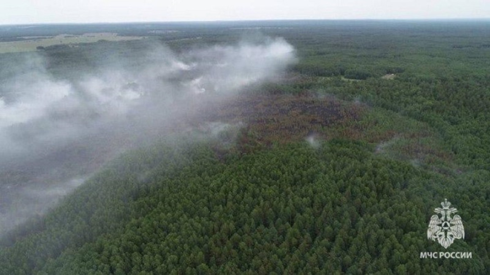 Лесной пожар в Калтасинском районе Башкирии не сдаётся. Вызвали подмогу