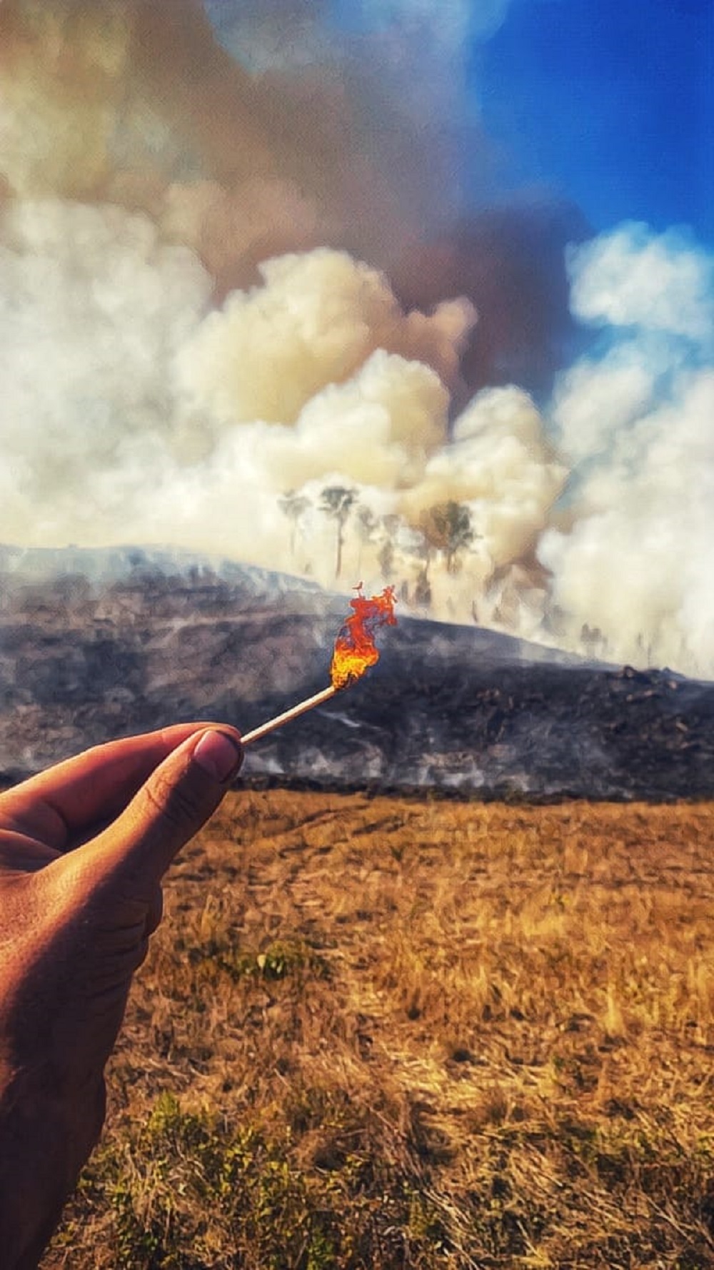 В Башкирии вероятна угроза лесных пожаров, как в Рязанской и Нижегородской областях
