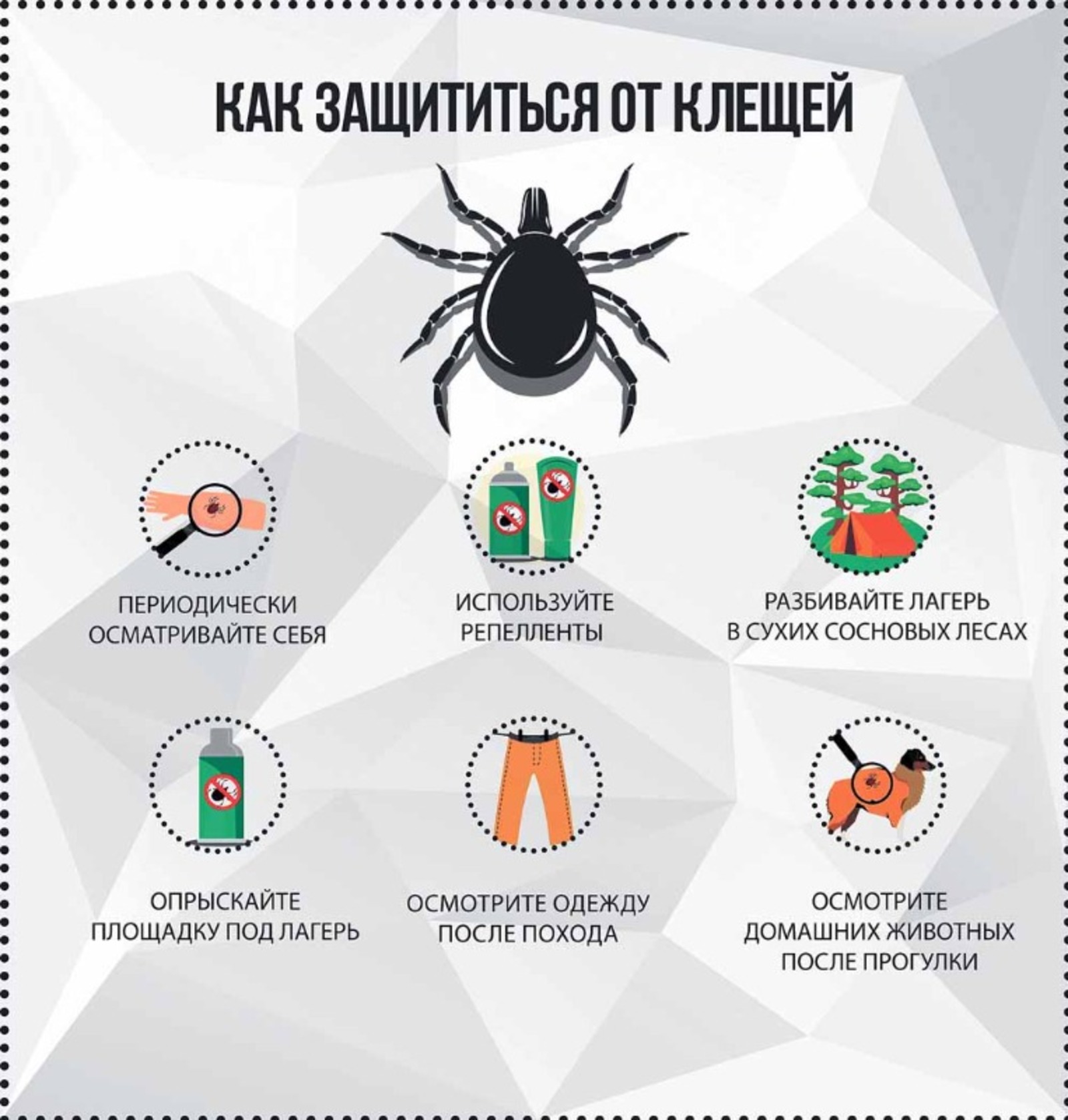 инфографика Дмитрия ФАЙЗУЛЛИНА