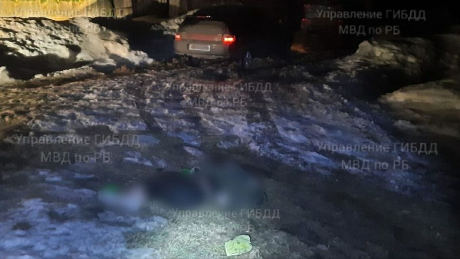 В Башкирии ночью насмерть сбили двух пешеходов