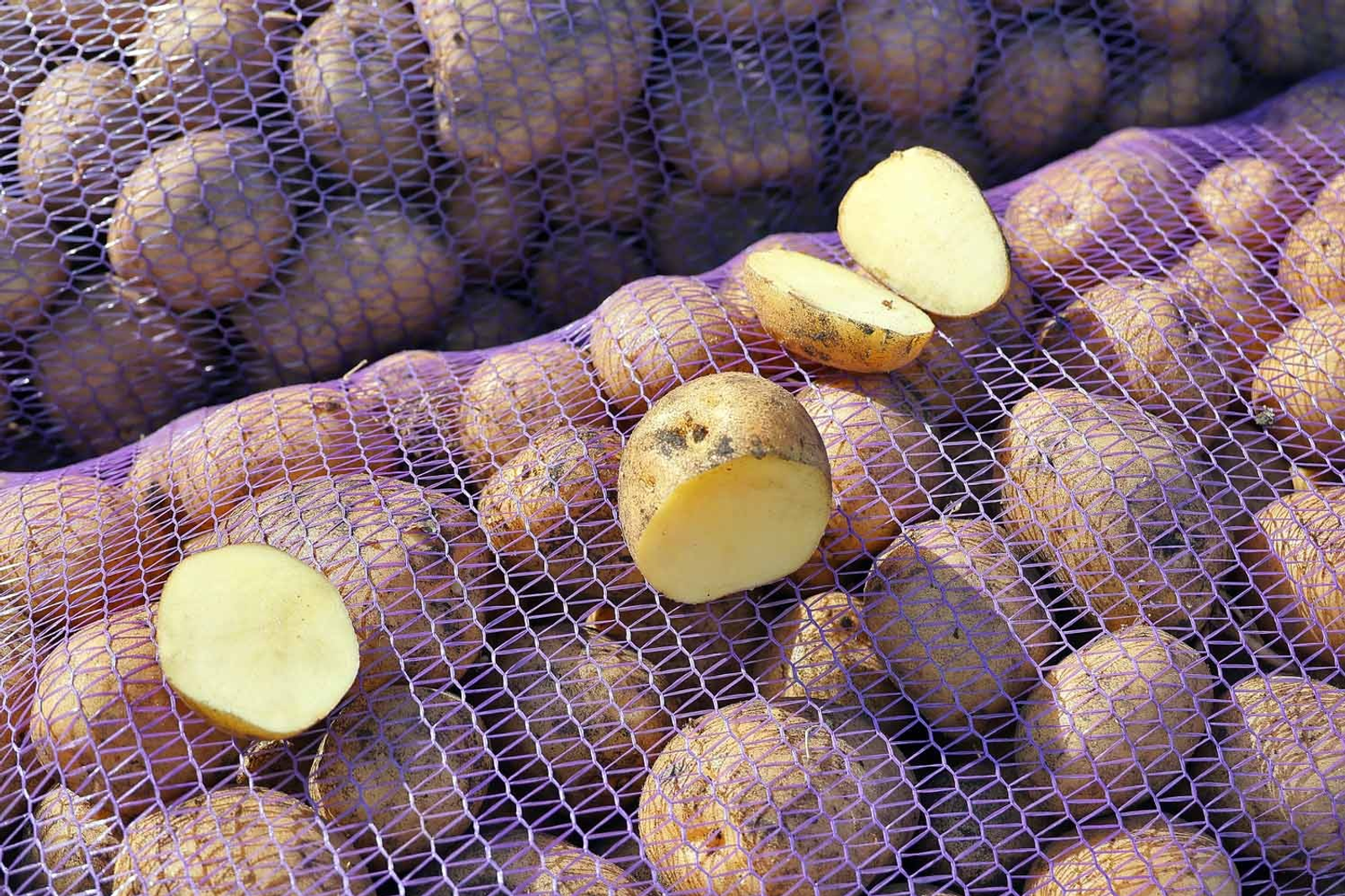 Александр ДАНИЛОВ