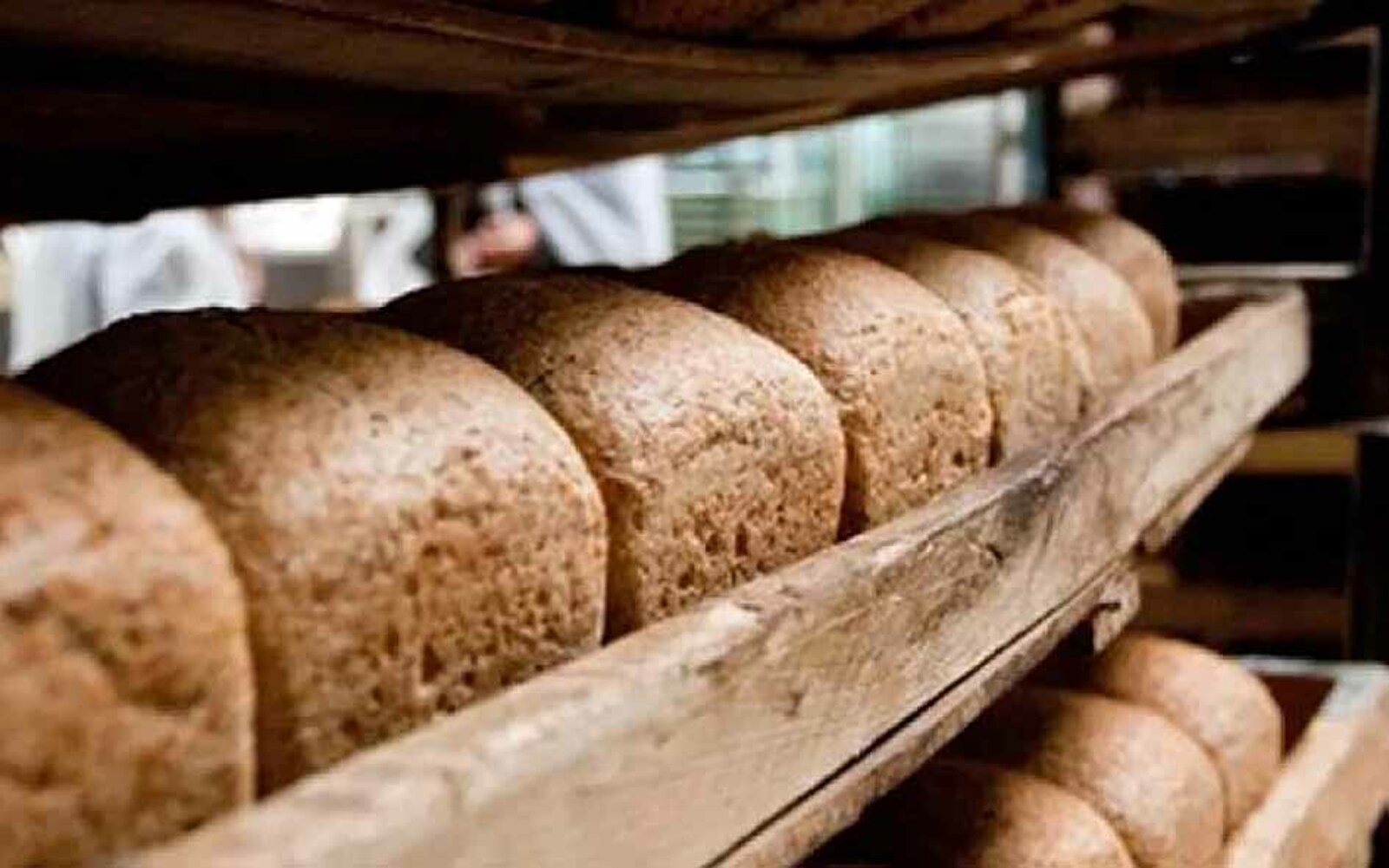 В Башкирии приставы взыскали с компании-производителя хлеба долг по налогам