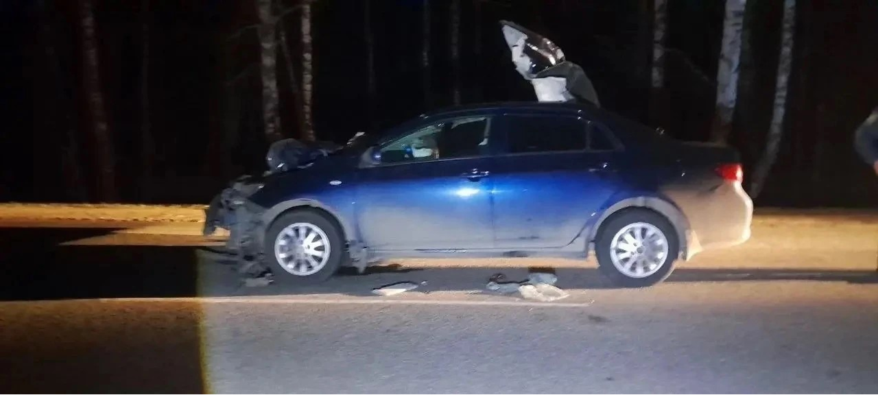 В Башкирии из-за наезда на лося погибла пассажирка легковушки