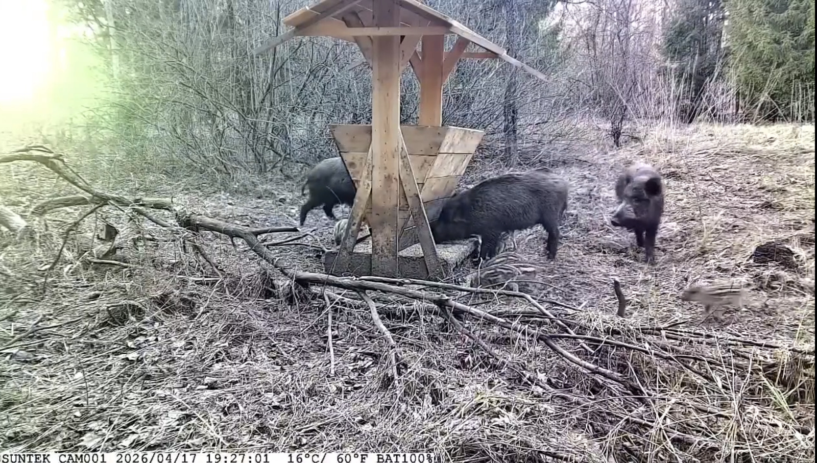 Скриншот видео со страницы ВКонтакте «Экология РБ».