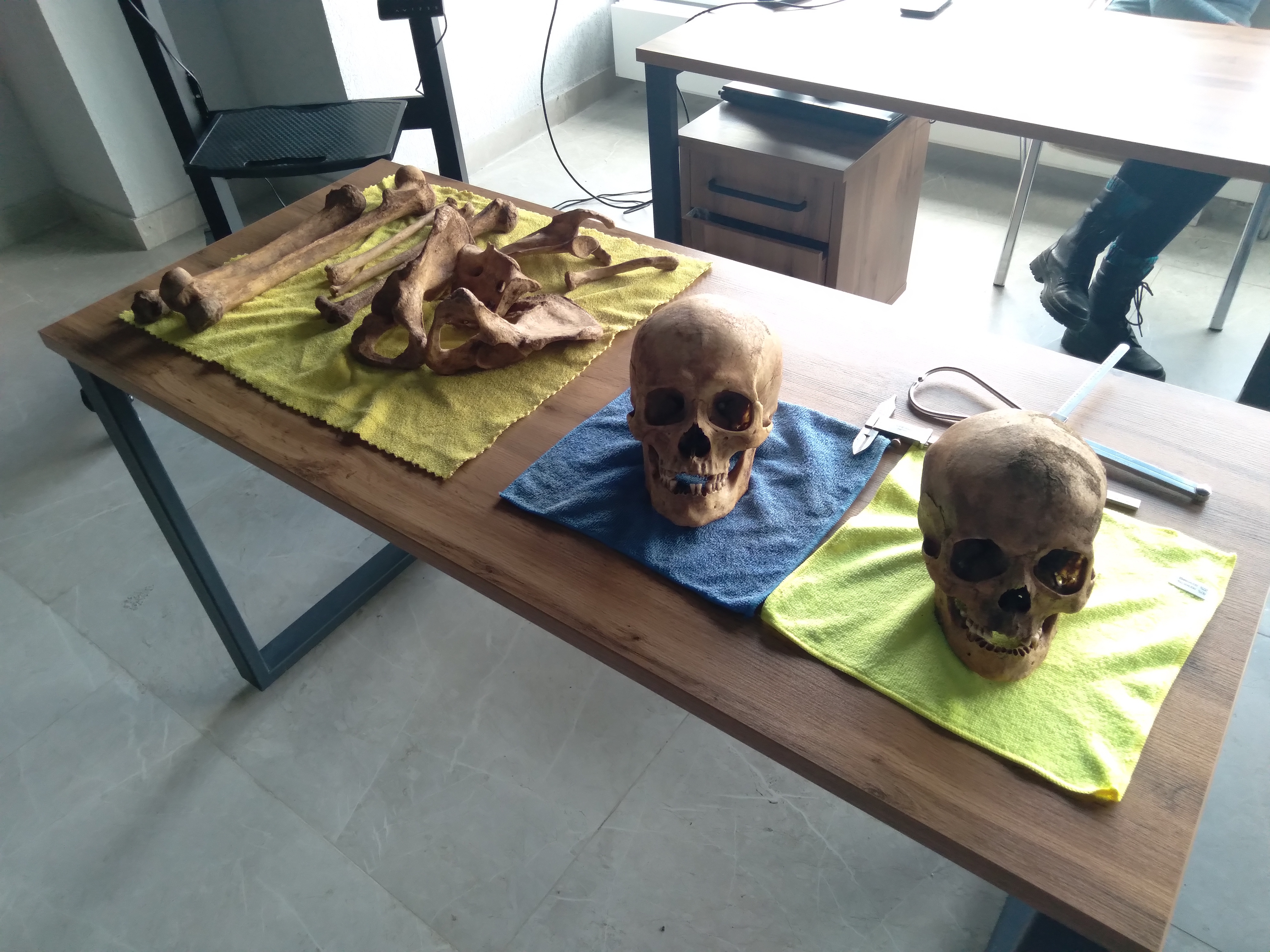 В межвузовском кампусе Уфы открылся цикл лекций ведущих учёных-археологов