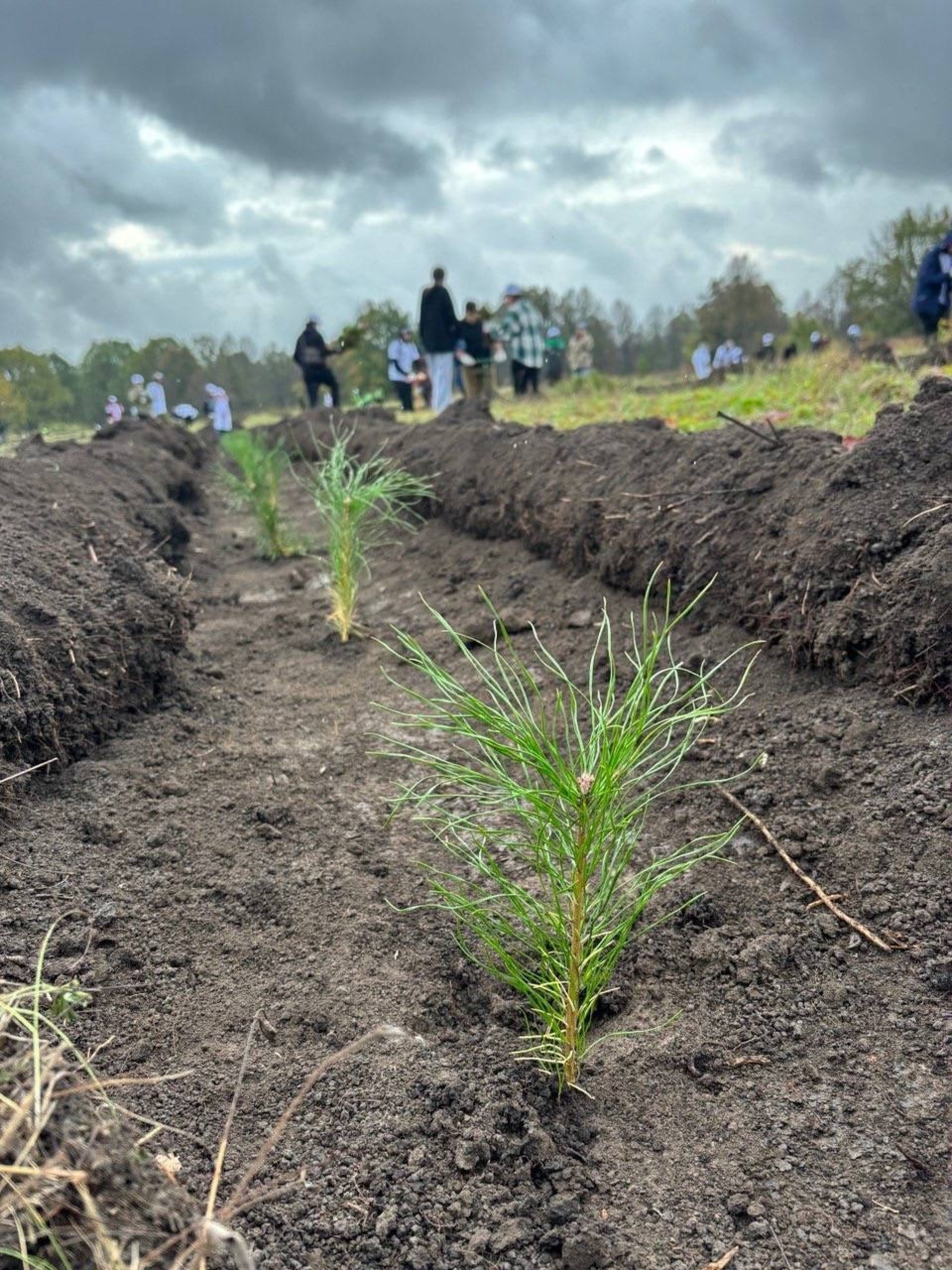 из соцсетей Андрея Назарова.