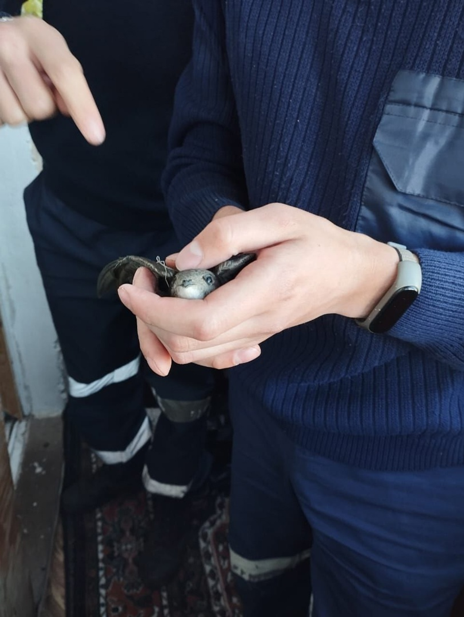 В Кумертау стриж запутался в нитках. На помощь пришли спасатели