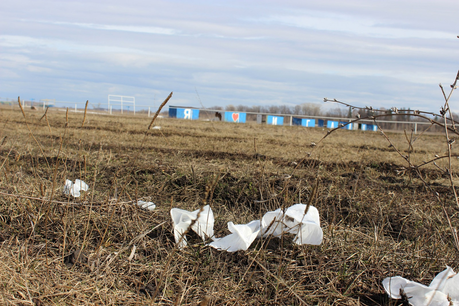 автора Разлетевшийся по газонам и обочинам мусор уродует и отравляет мир, в котором мы живем. Знакомая картина, не правда ли?