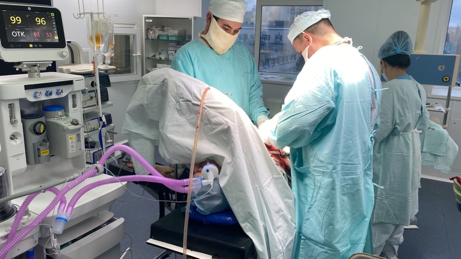 В Башкирии врачи извлекли из печени пациентки огромного ленточного червя