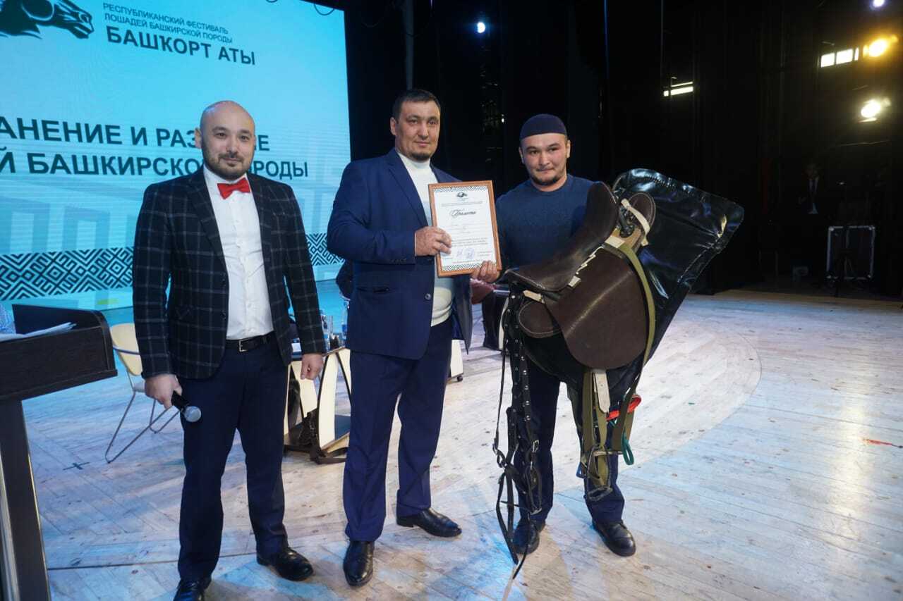 Проблему сохранения лошадей башкирской породы поддержат в Челябинской области