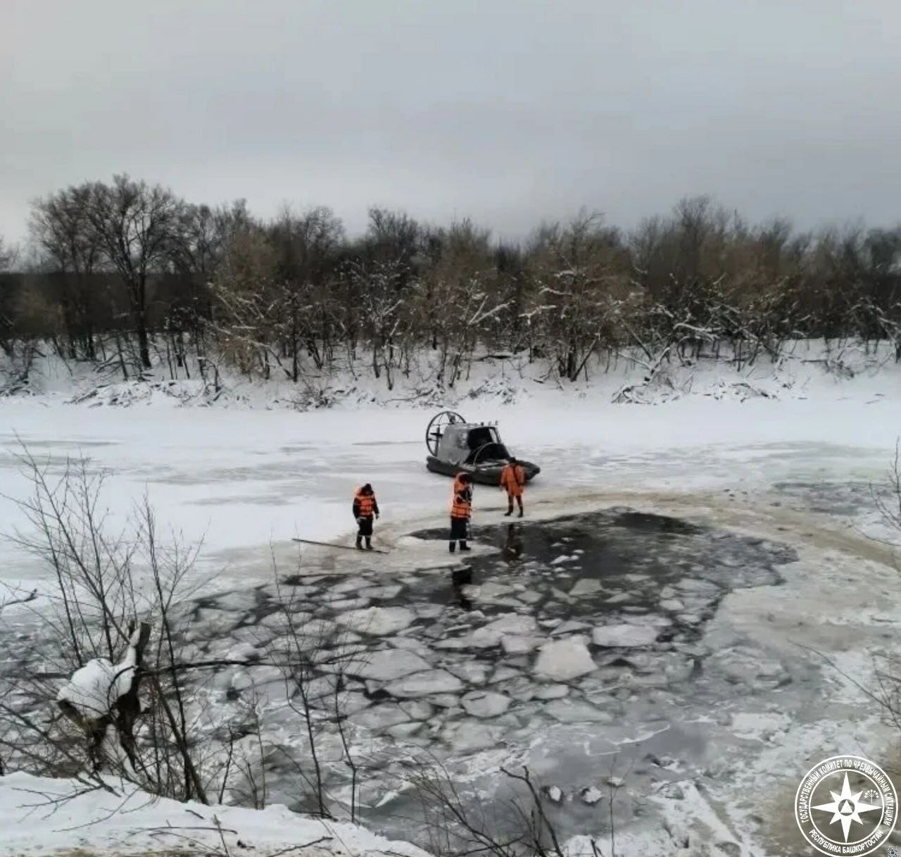 В Башкирии 780 овец утонули в озере Узеть. Одна выжила