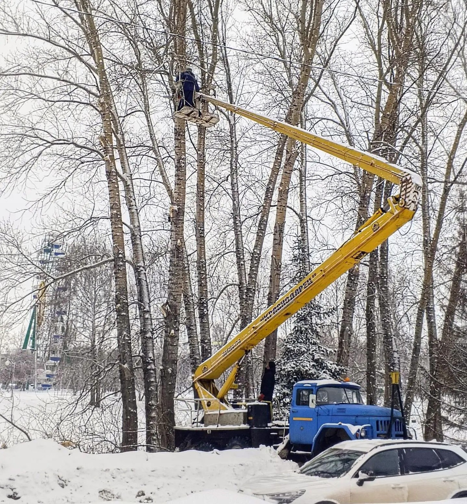 Зиля АБДУЛЛИНА  Тополям, которые было решено вырубить, больше полувека.