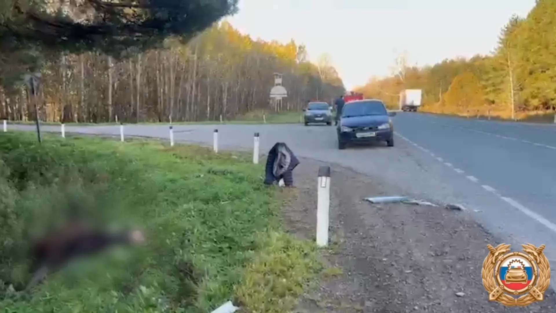 В Башкирии в ДТП погиб водитель легковушки и сбитый им лось