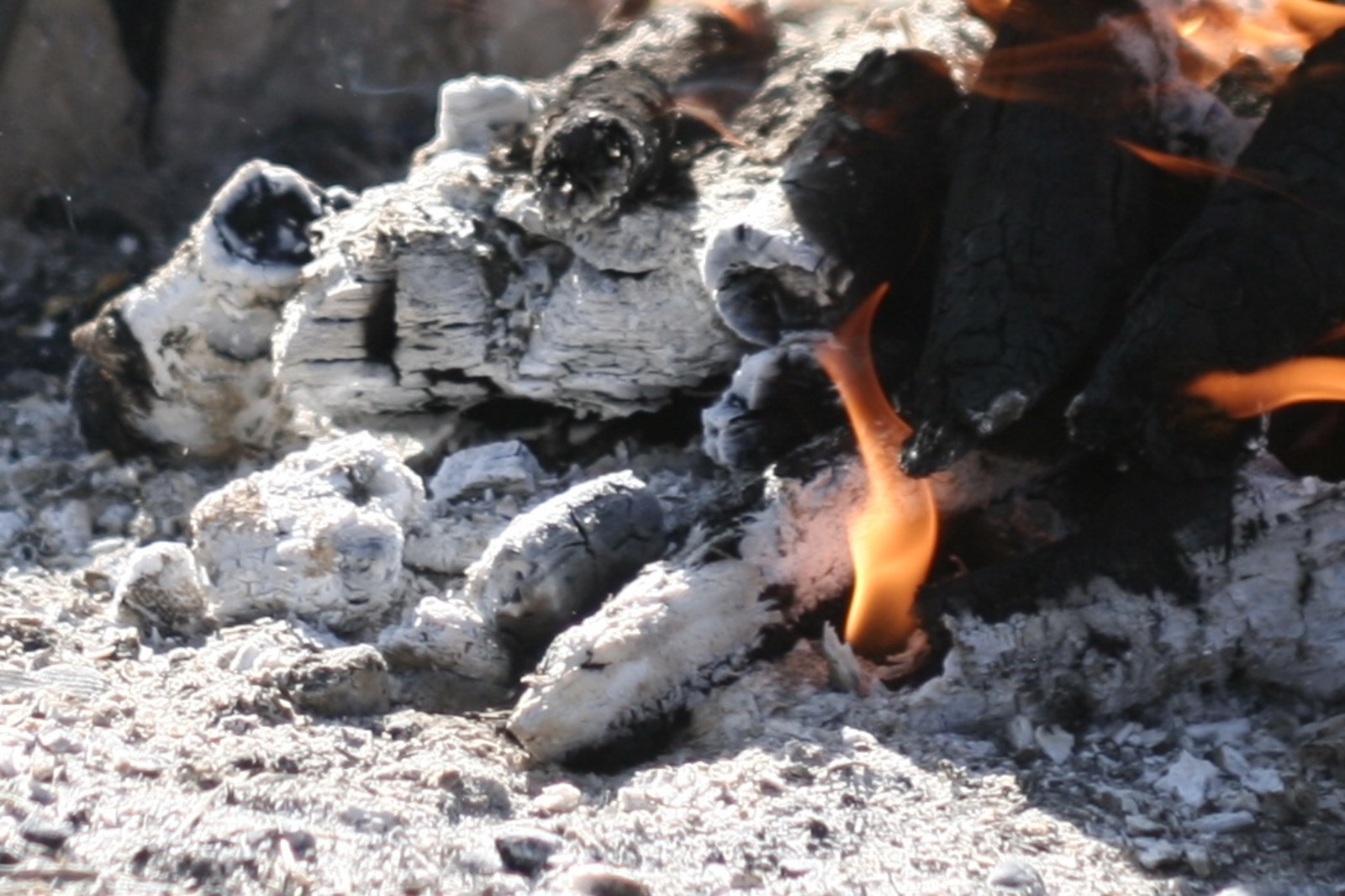 Жителей Башкирии предупредили о повышенном риске лесных пожаров