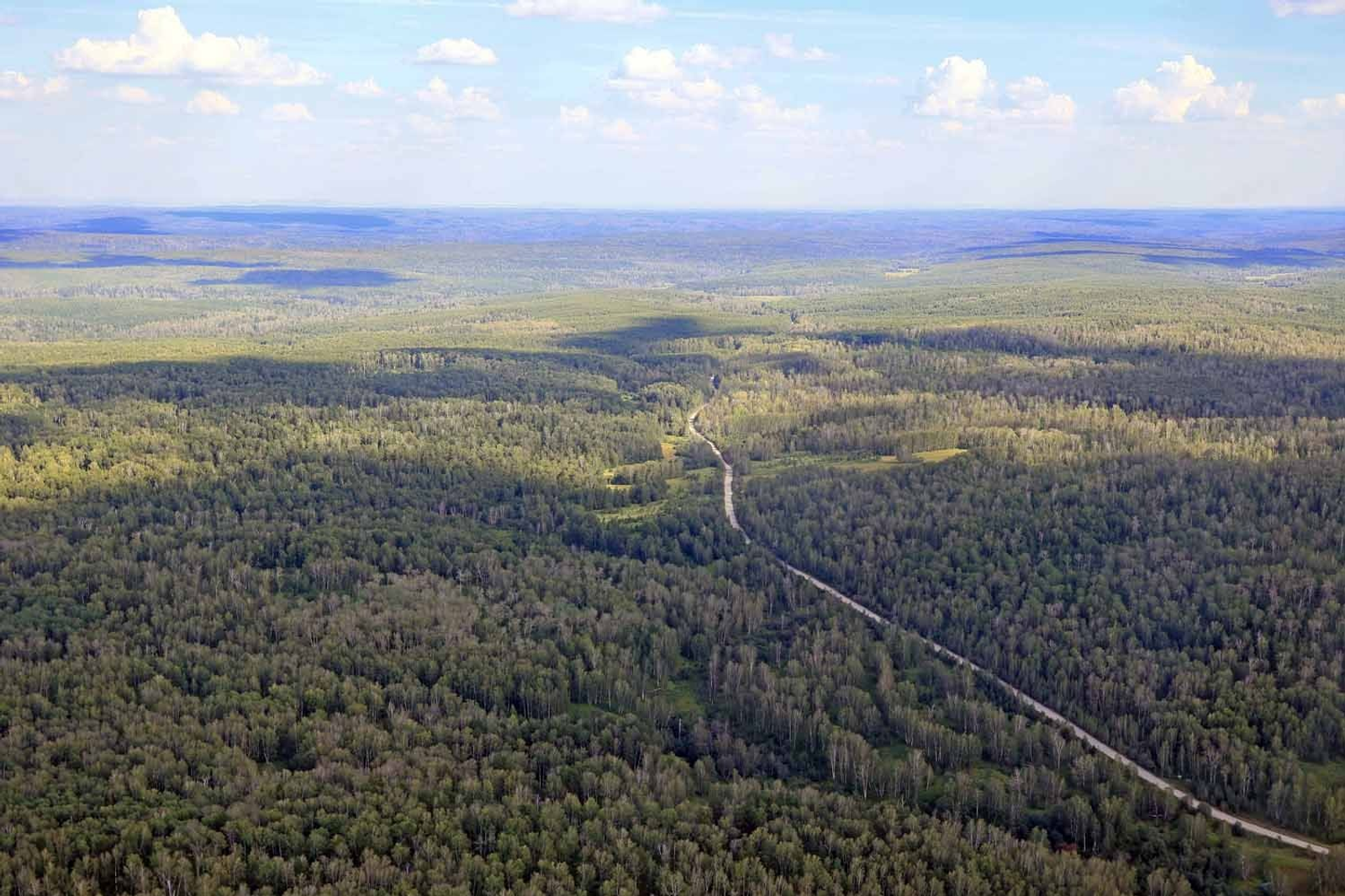 Александр ДАНИЛОВ