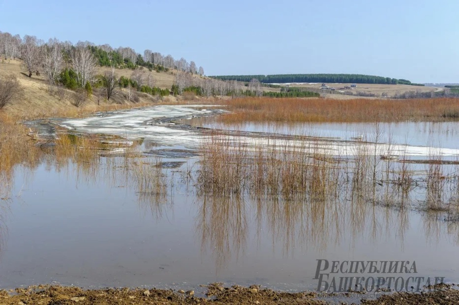 Альберт ЗАГИРОВ.