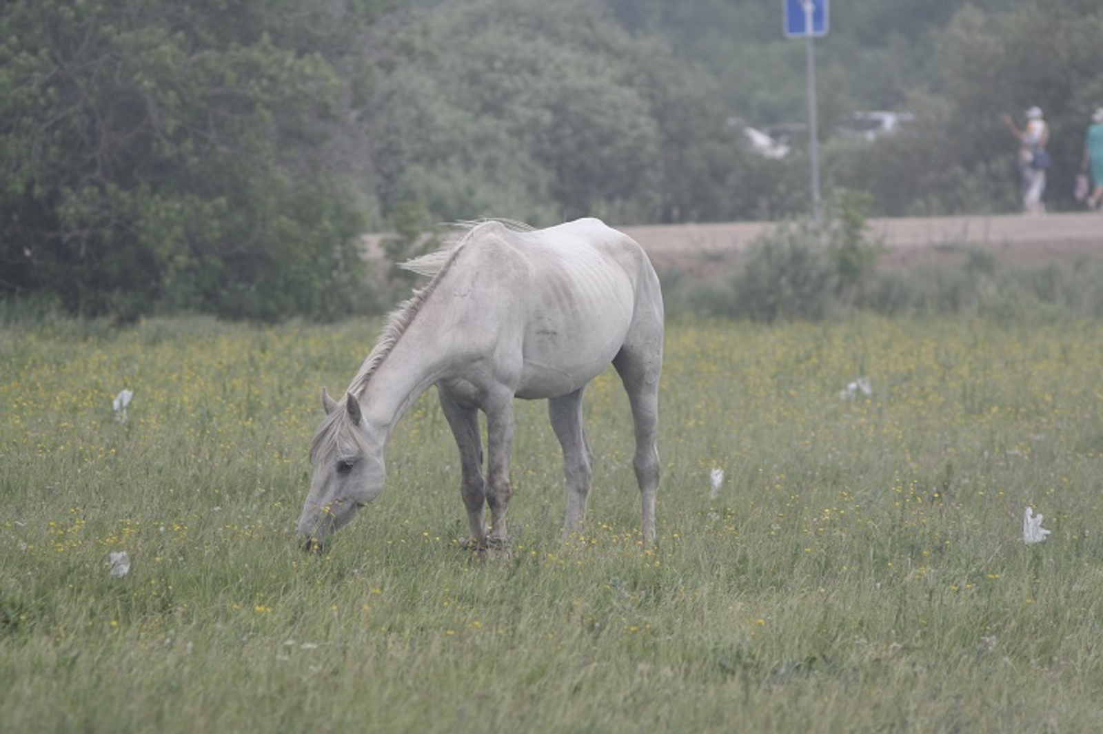 В Башкирии решили вопрос нехватки полей для фермеров