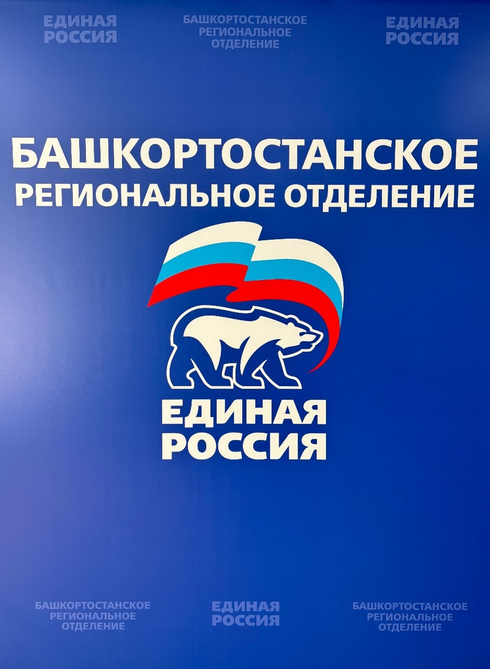 В Башкирии завершён прием документов от кандидатов в депутаты