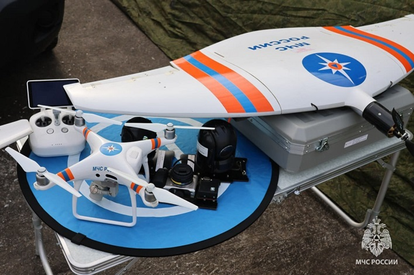 ����������� 2024 �������