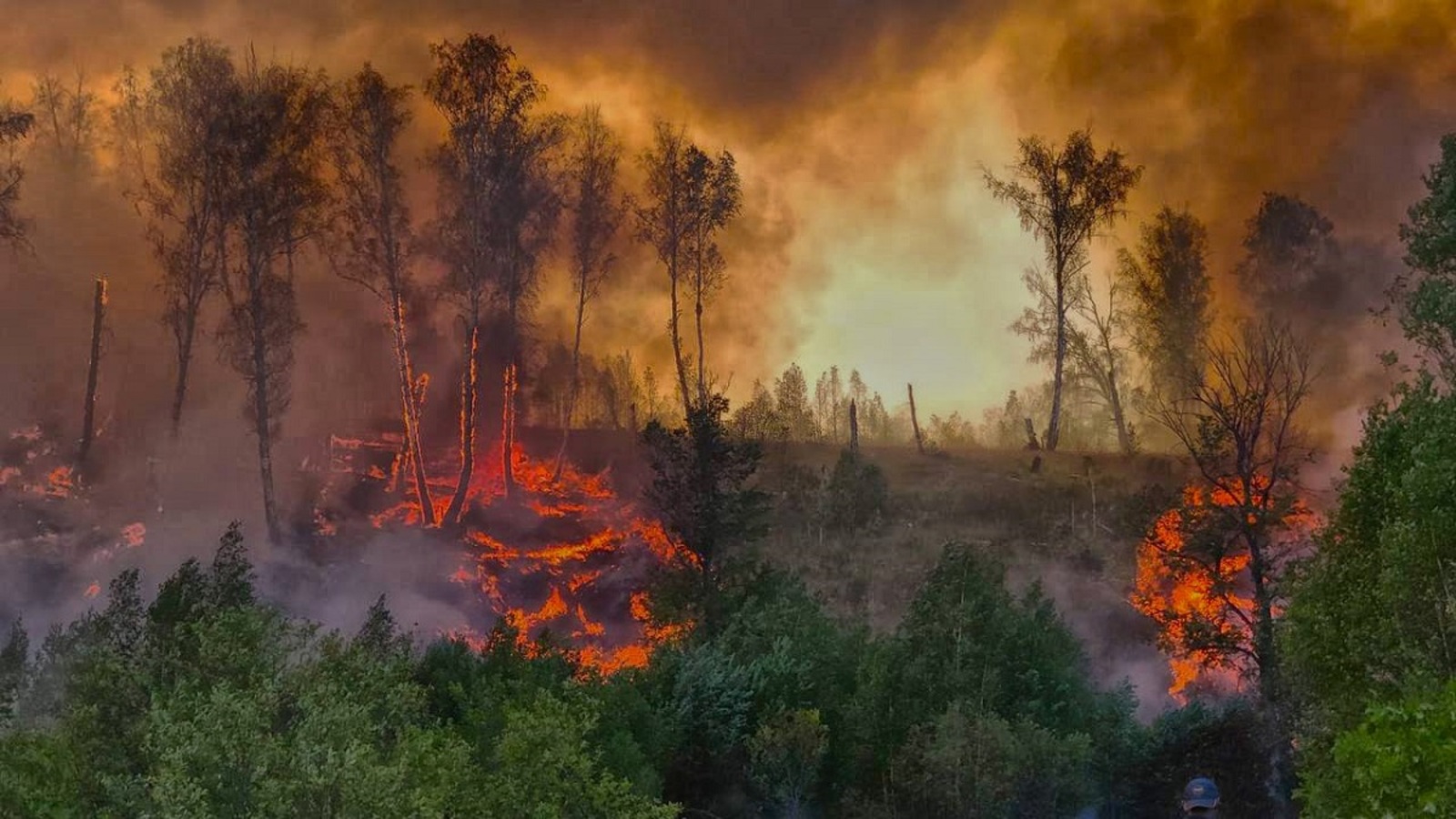 В Башкирии вероятна угроза лесных пожаров, как в Рязанской и Нижегородской областях
