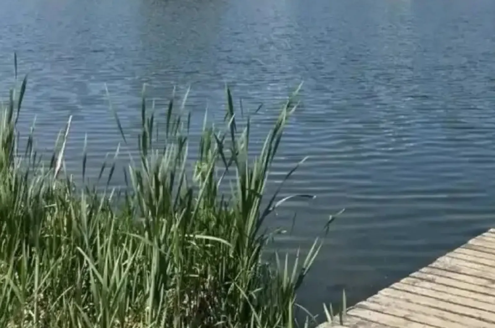 В Уфе утонул мужчина