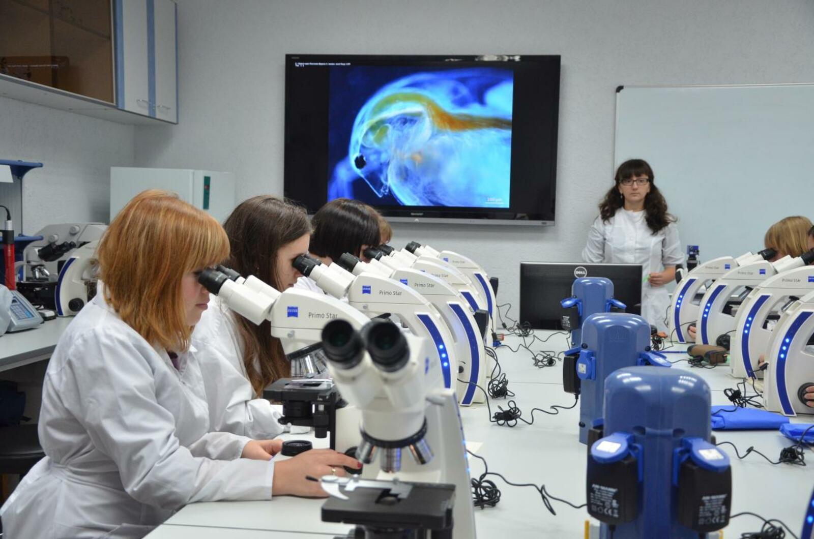 Пять научных проектов из Башкирии получат гранты Российского научного фонда