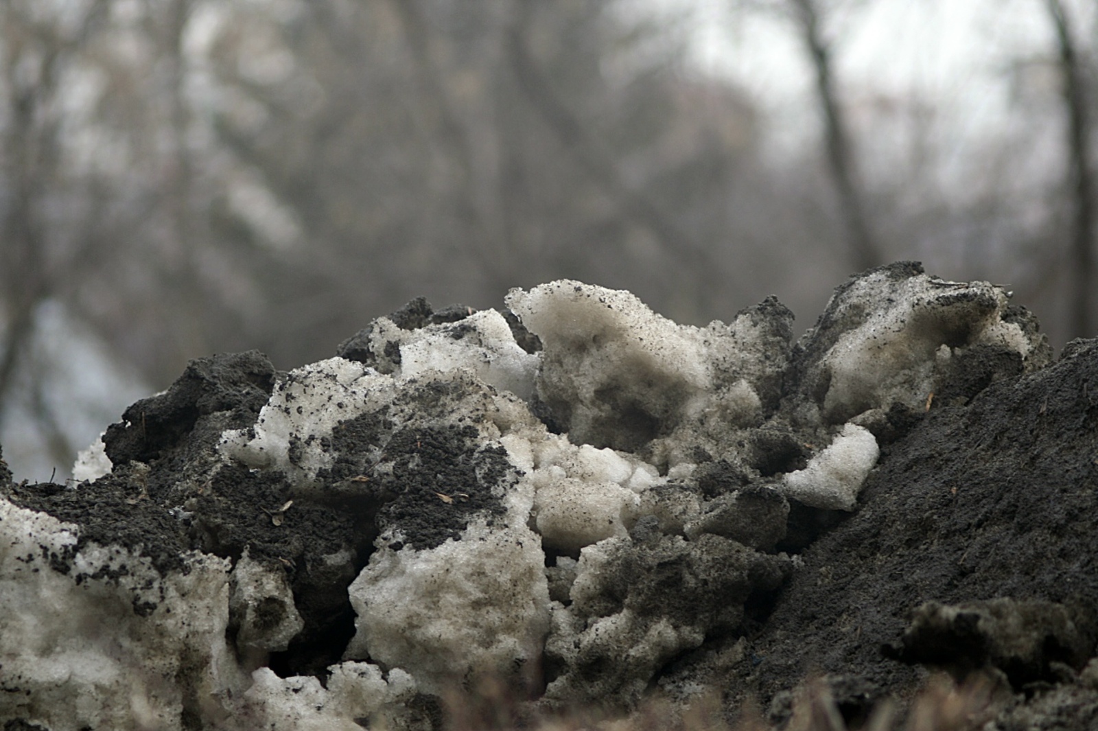 Радий Хабиров поручил начать субботники