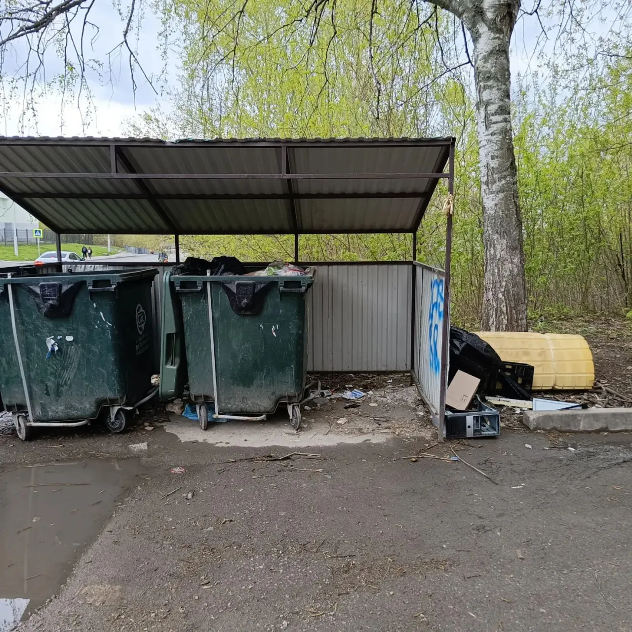 Глава Башкирии поручил постричь одуванчики «под ноль»