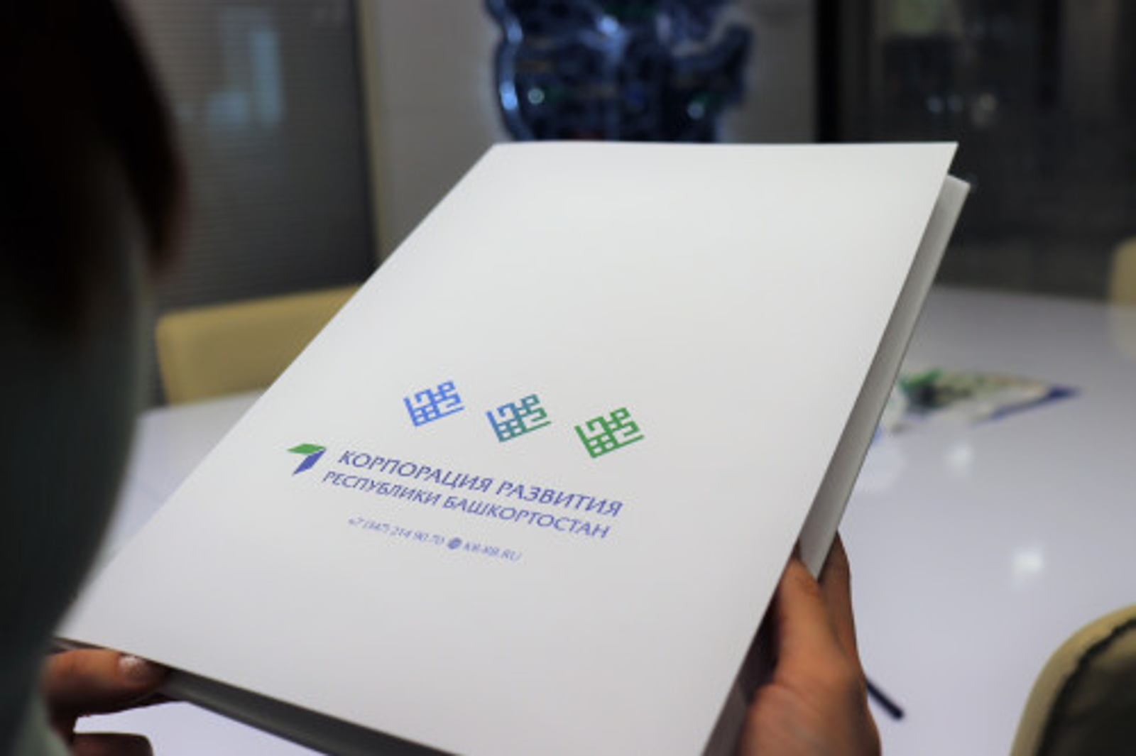 В Башкирии два проекта получили статус приоритетных