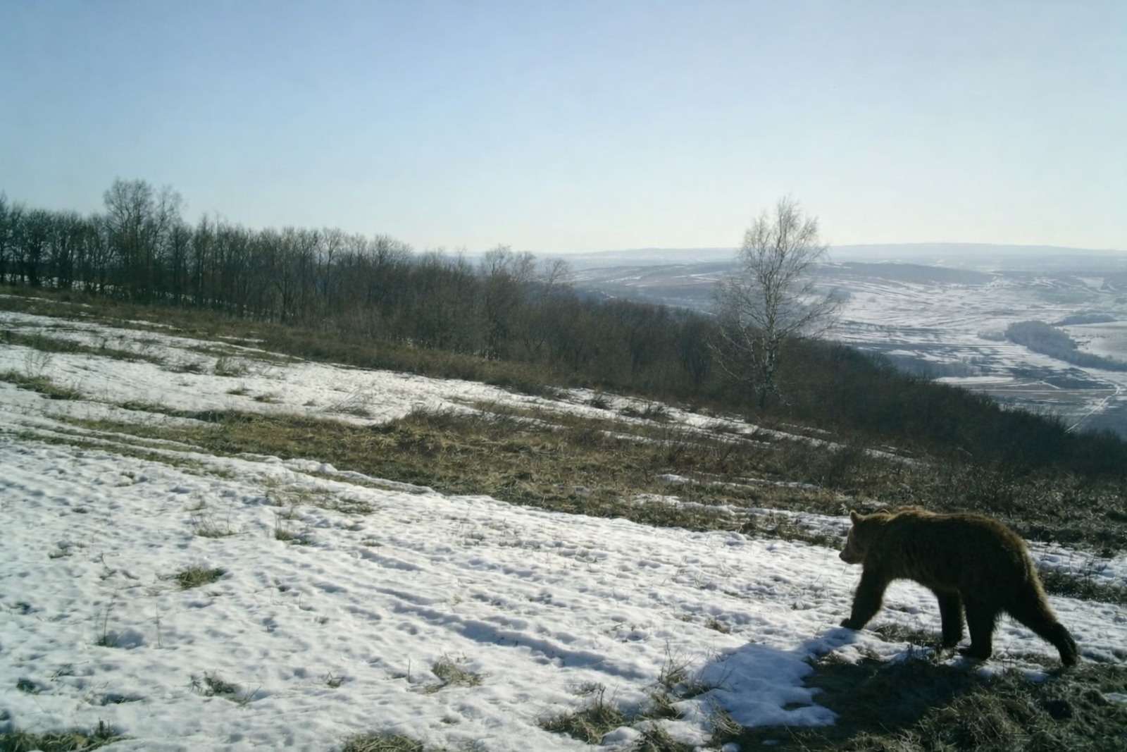 национальный парк «Башкирия»