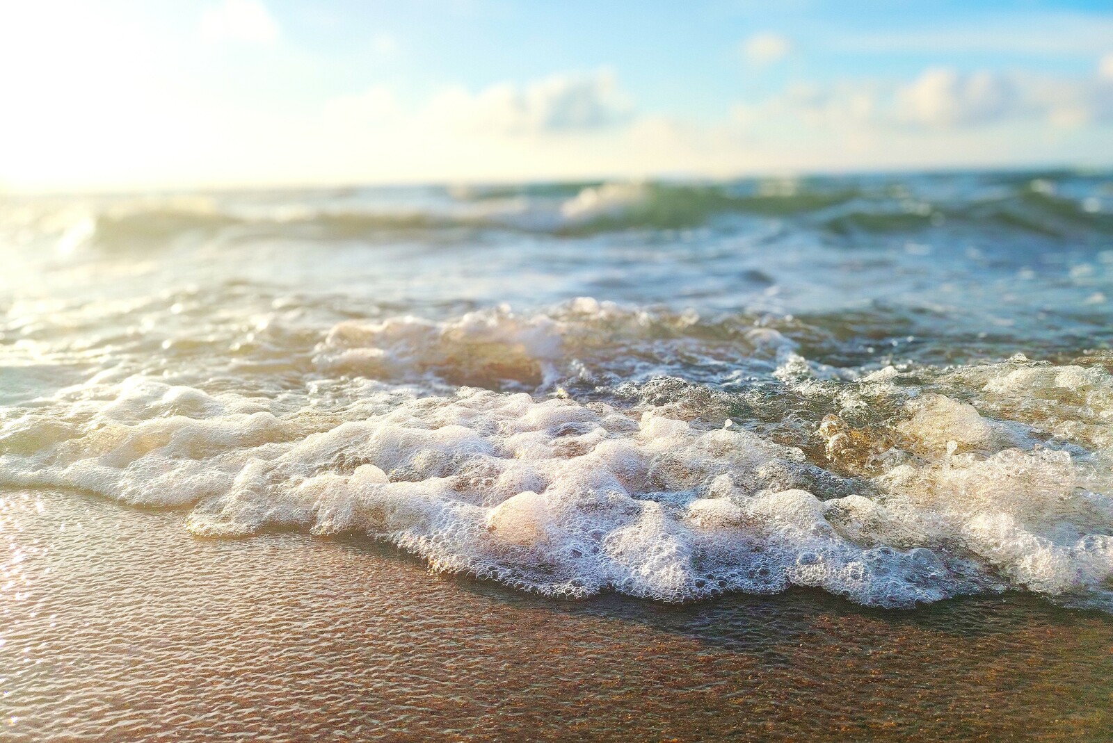 Как школьникам из Башкирии попасть в «Артек»: пошаговая инструкция