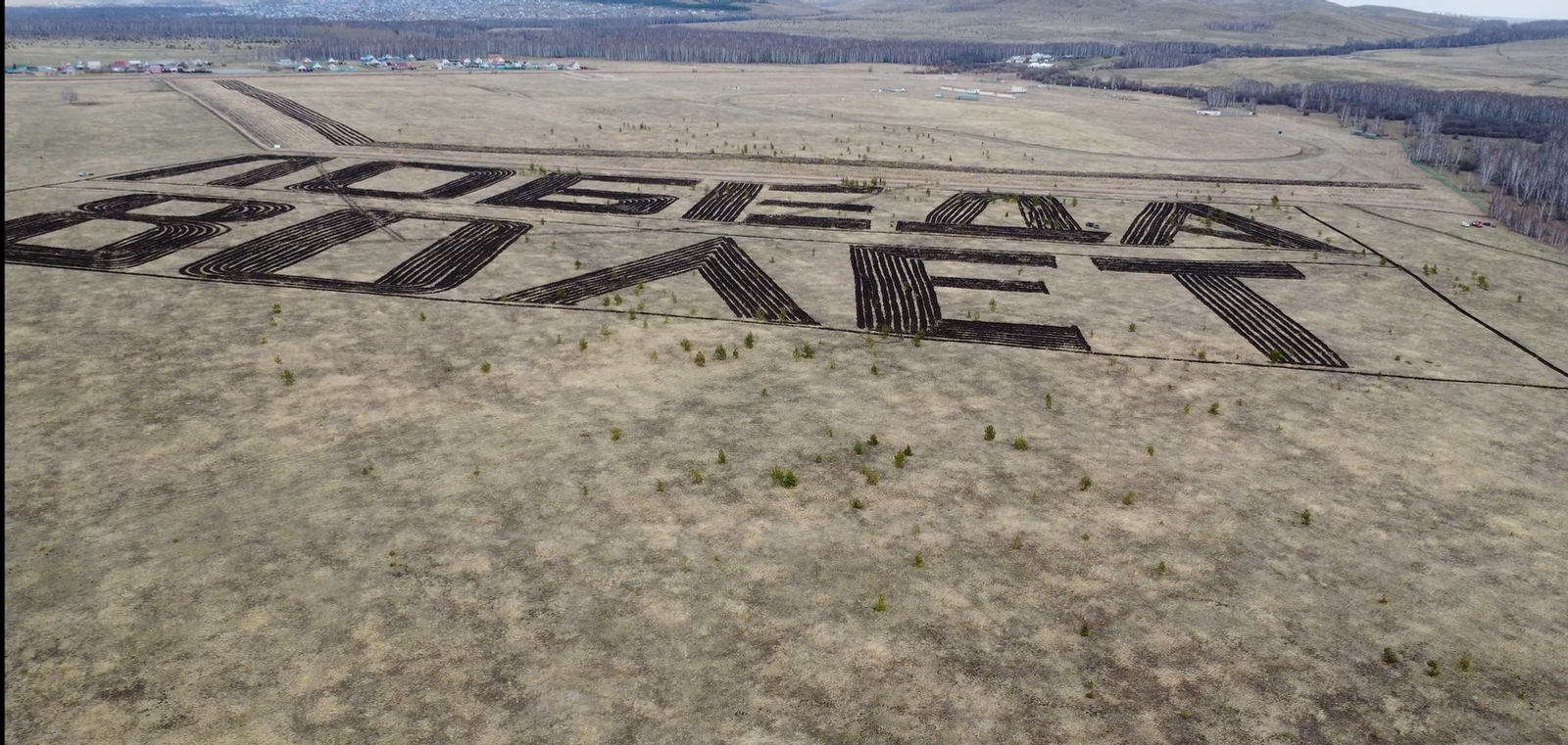 В Башкирии появились новые геоглифы из тысяч деревьев