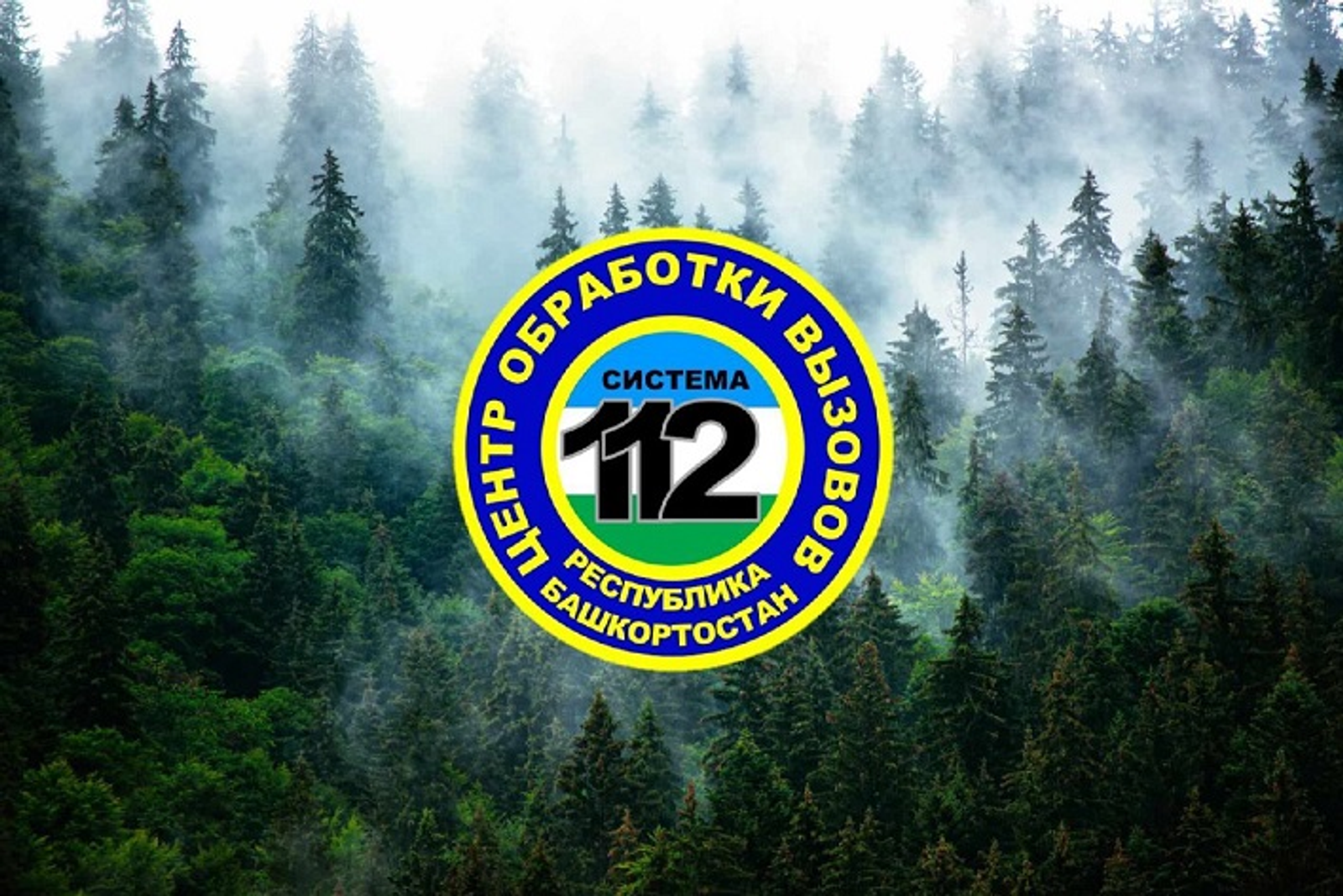 За один день в лесах потерялись шесть жителей Башкирии